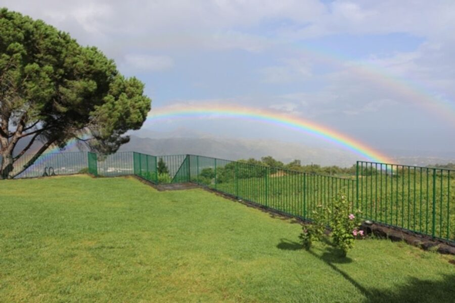 Mount Etna: Winery Tour and Tasting - How the price measures up at $72