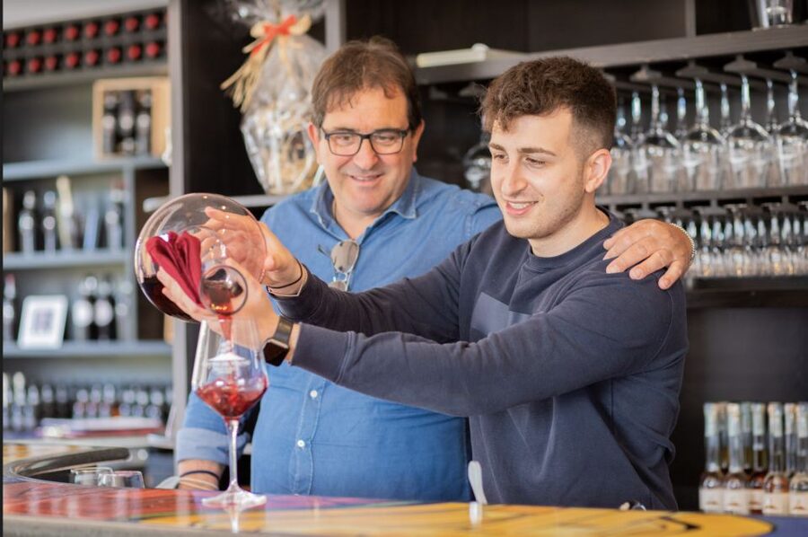 Mount Vesuvius: Vineyard Tour with Wine Tasting and Lunch - A vineyard on Vesuvius, not just a wine stop