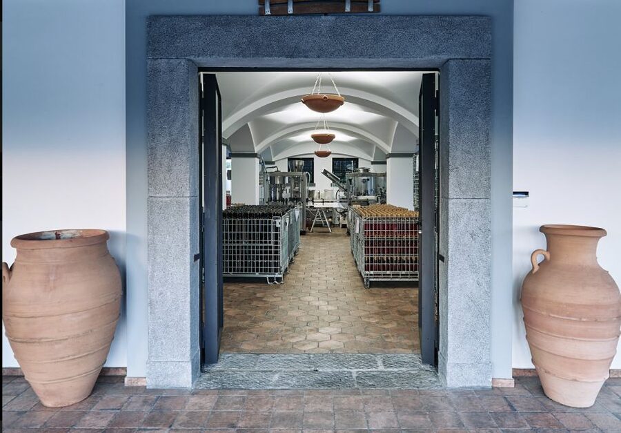 Mount Vesuvius: Vineyard Tour with Wine Tasting and Lunch - Lunch with olive oil, pasta, and dessert