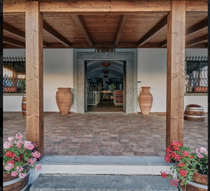 Mount Vesuvius: Vineyard Tour with Wine Tasting and Lunch - The view is part of what you are paying for