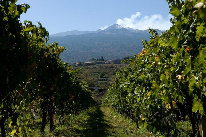 Mt Etna and Wine tasting tour from Catania - Enoteca Dell’Etna turns tasting into a meal