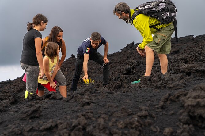 Mt Etna and Wine tasting tour from Catania - Walking the natural trails of Mount Etna