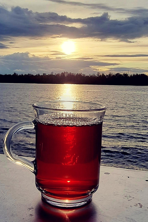 Mulled wine ride in the Leipzig New Zealand - A Christmas cruise on Leipzig’s southern lake