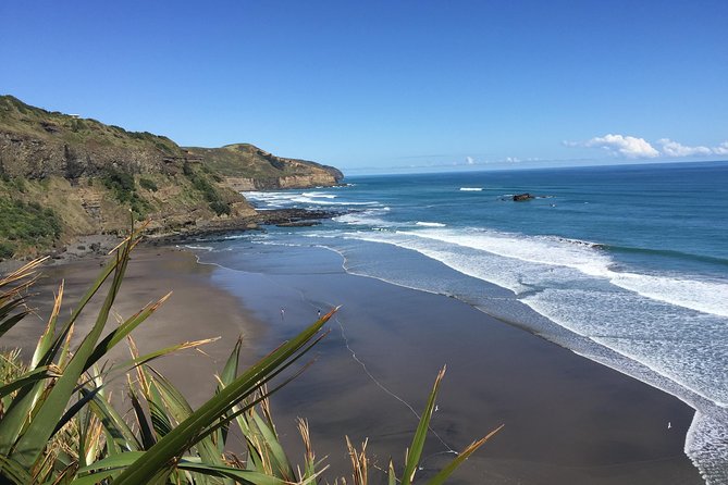 Muriwai Scenic Wine Tour from Auckland - Soljans Estate and the story of a family winery