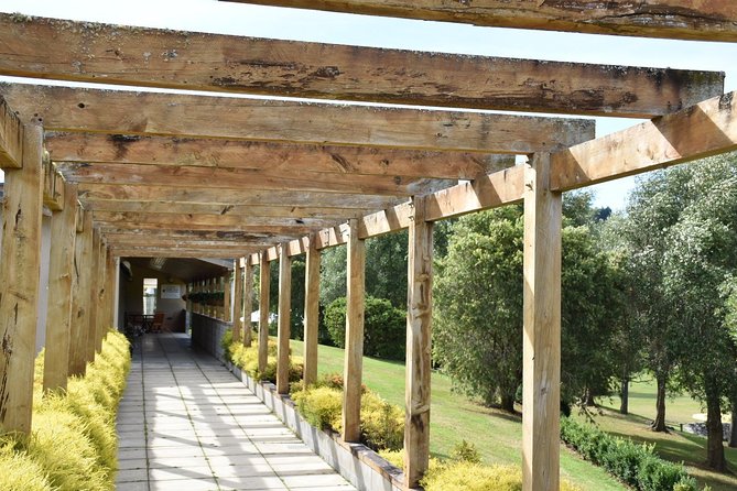 Muriwai Scenic Wine Tour from Auckland - Muriwai Beach and the wild west coast