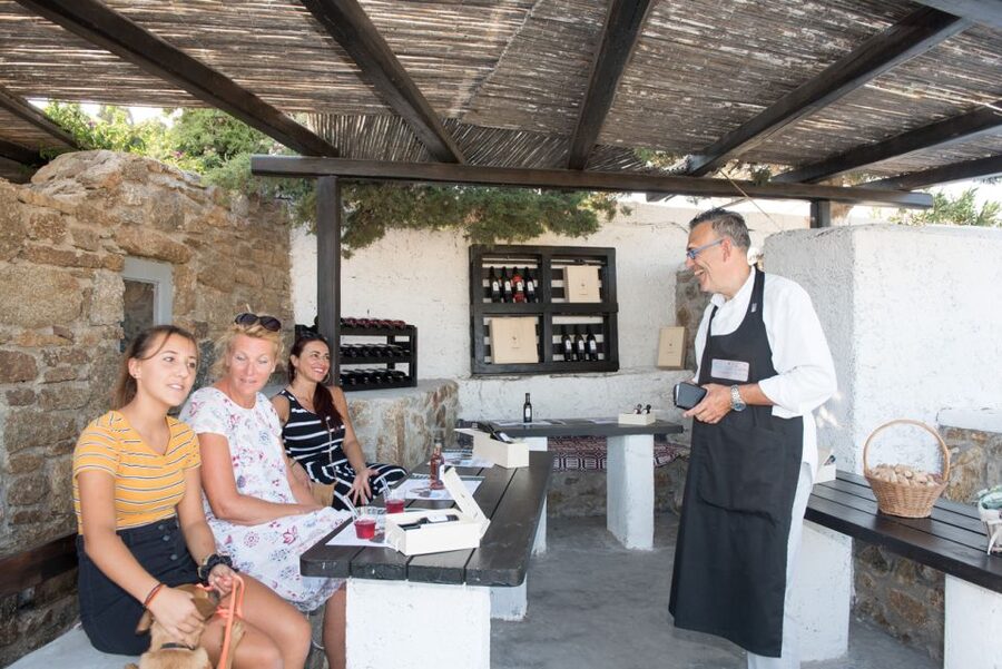 Mykonos: Wine Tasting at a Mykonian Farm - Key points to know before you book