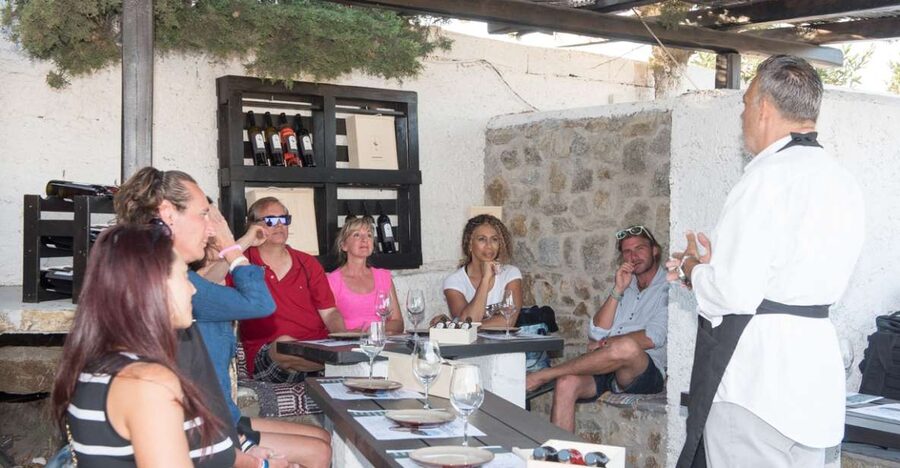 Mykonos: Wine Tasting at a Mykonian Farm - Is $88 a fair price?