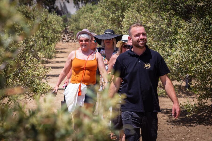 Mykonos: Winery Vineyard Experience with Food & Wine Tasting - Is $80 per person good value?