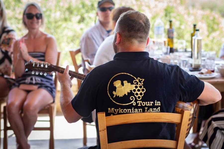 Mykonos: Winery Vineyard Experience with Food & Wine Tasting - Timing, transport, and planning your visit