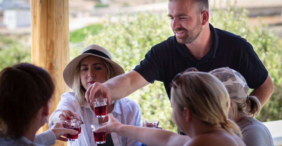 Mykonos: Winery Vineyard Experience with Food & Wine Tasting - Walking the olive grove with Gerasimos