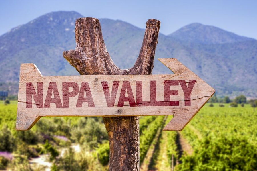 Napa Valley: Guided Wine Tour with Picnic Lunch - Key points at a glance
