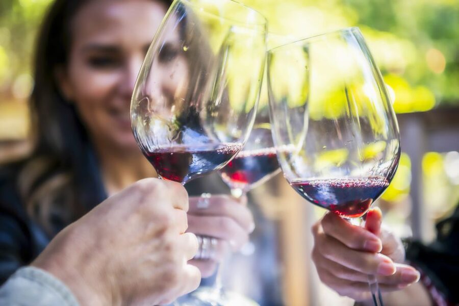 Napa Valley: Guided Wine Tour with Picnic Lunch - A guide-led introduction to Napa wine