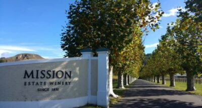 Napier: Afternoon Winery Tour Tasting at 3 Great Wineries