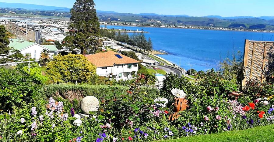 Napier: Art-Deco + Te Mata Peak+ Garden Walk + Wine Tasting - Who will get the most from the $89 price