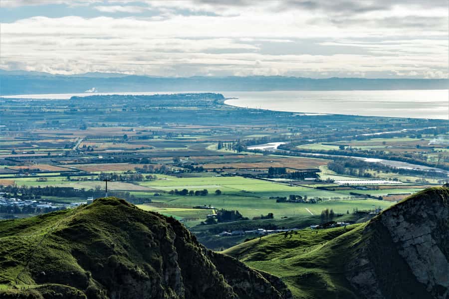 Napier: Art-Deco + Te Mata Peak+ Garden Walk + Wine Tasting - Askerne Estate and the seated wine tasting
