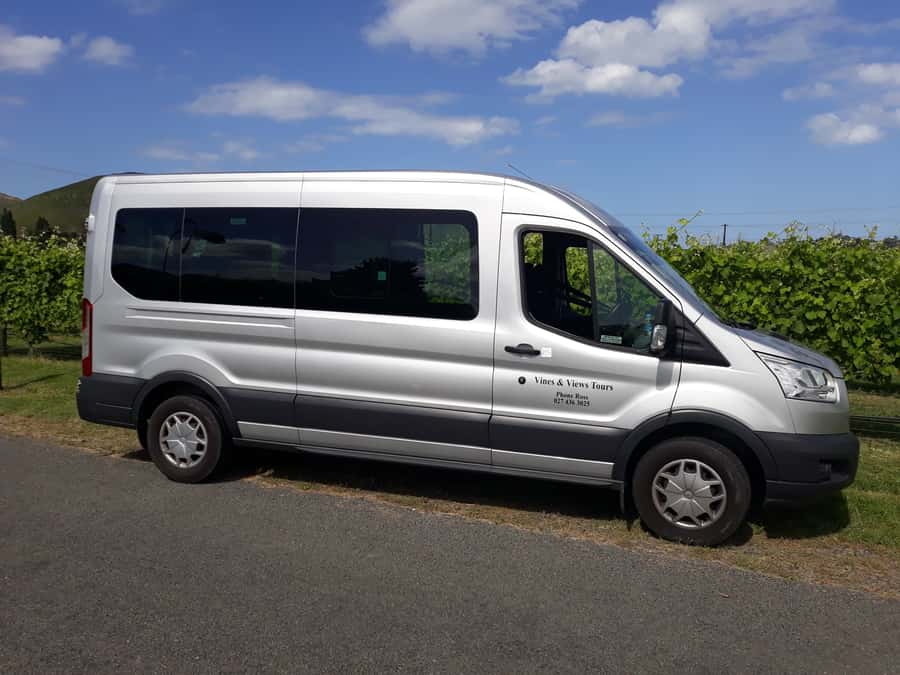 Napier: Art-Deco + Te Mata Peak+ Garden Walk + Wine Tasting - Bluff Hill and Napier’s port below