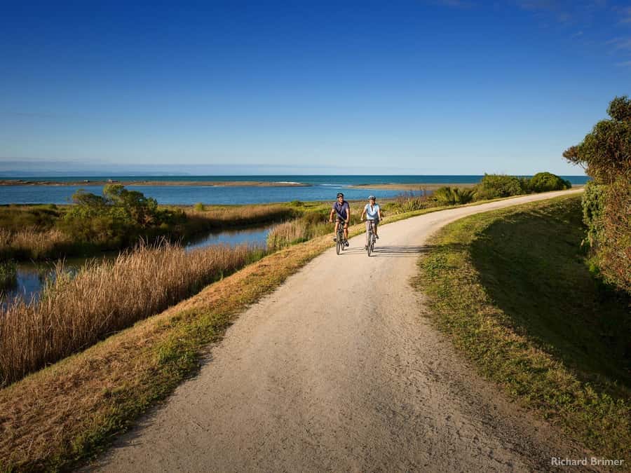 Napier: Cape Coast Winery Tour on E-Bikes - The first coastal ride and two strong opening wineries