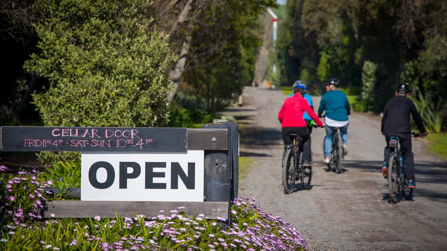 Napier: Cape Coast Winery Tour on E-Bikes - Askerne Estate, a good mid-route lunch stop