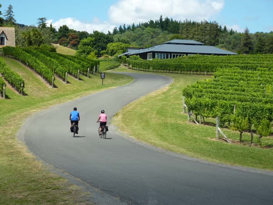 Napier: Cape Coast Winery Tour on E-Bikes - Meeting in Napier and riding to Cape Kidnappers