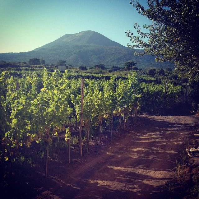 Naples: Mount Vesuvius Vineyard Tour w/ Lunch & Wine Tasting - Getting there requires planning