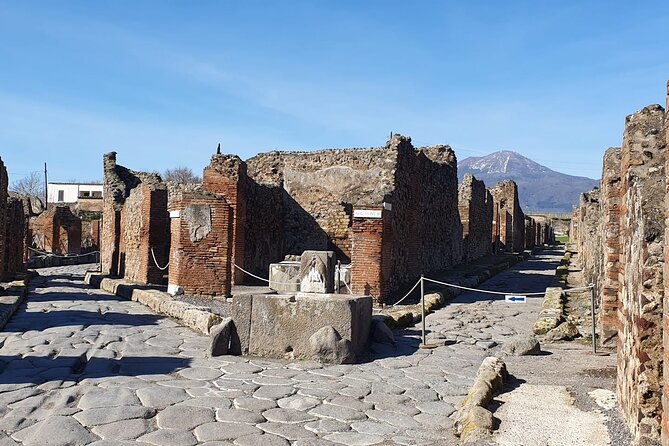 Naples: Tour of Mt Vesuvius and Pompeii w/ Lunch & Wine tasting - Why this Naples day trip works