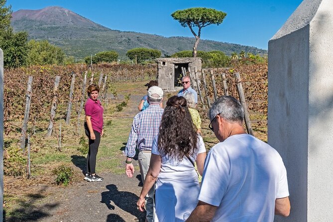 Naples: Tour of Mt Vesuvius and Pompeii w/ Lunch & Wine tasting - Walking up Mount Vesuvius
