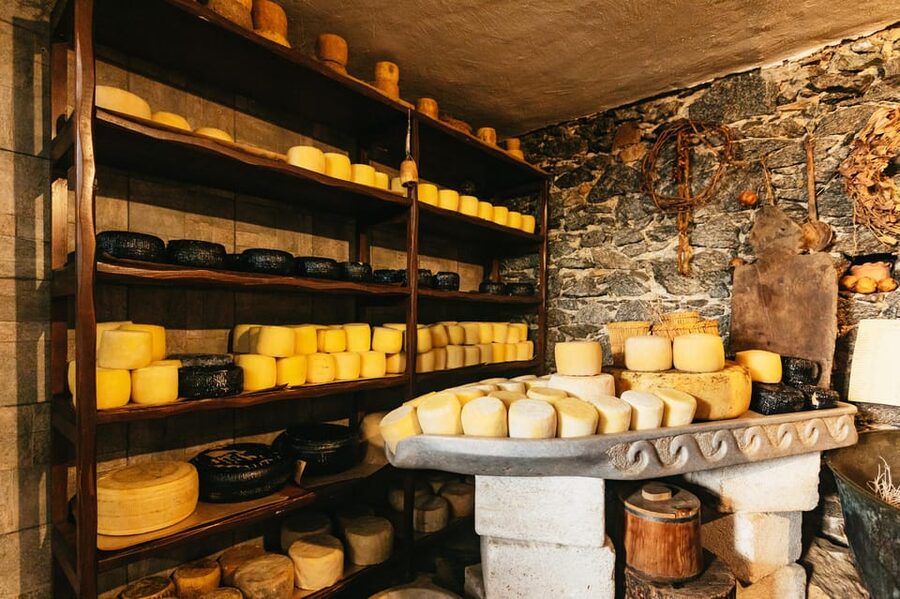 Naxos: Naxos Town Food Tour with Tastings and Wine - Is $112 good value?