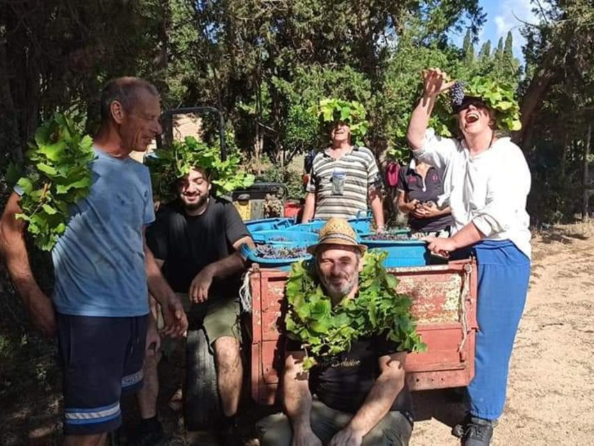 Near Cagliari: The World of Natural Wine at "In Our Garden" - What the two-hour schedule really includes