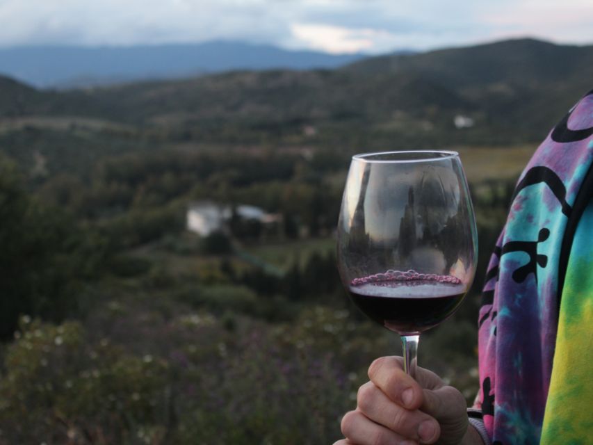 Near Cagliari: The World of Natural Wine at "In Our Garden" - Who will enjoy In Our Garden most