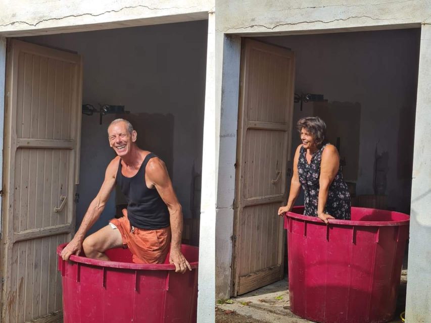 Near Cagliari: The World of Natural Wine at "In Our Garden" - Should you book this natural wine experience?