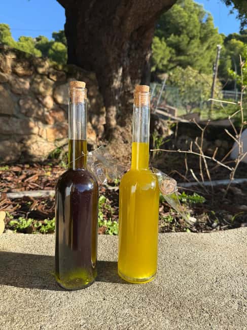 Near Malaga: Mijas Organic Vineyard, 5 Wines, 2 Oils & Tapas - Walking the vines with Antonio’s story