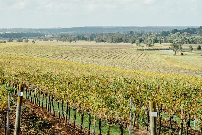 Newcastle: Boutique Hunter Valley Wine Tour - Bonvilla Estate adds a smaller winery feel