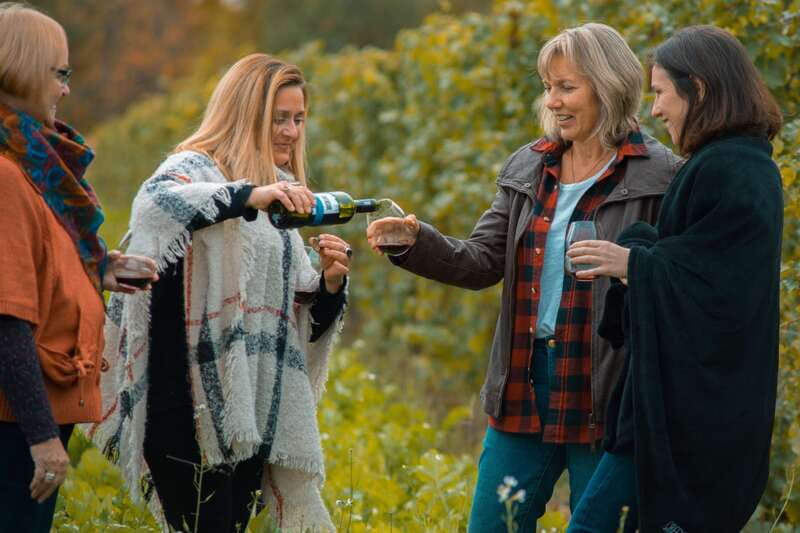 Niagara, Canada: Half-Day Winery Tour with Tastings - What happens at the three winery stops