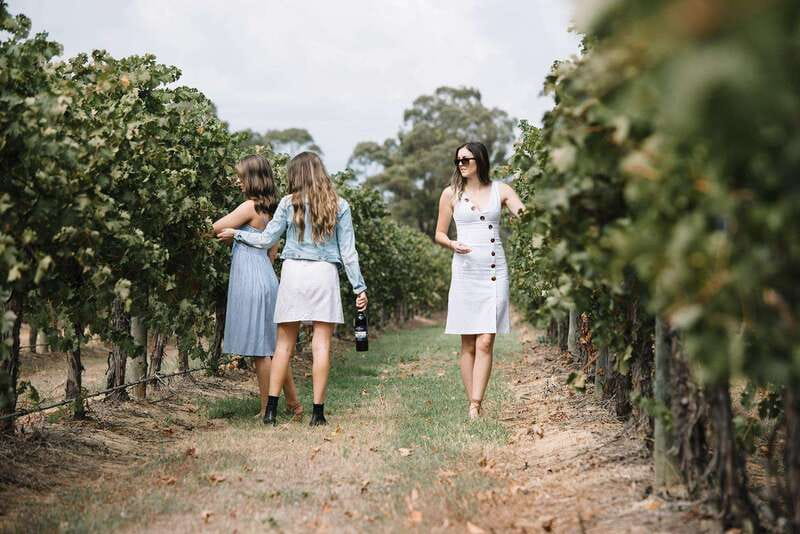 Niagara Falls: Winter Niagara Wine Tour with Transportation - Booking tips for a smoother day