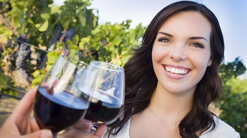Niagara-on-the-Lake: Sunset Wine Tour with Dinner - Key points to know before you book