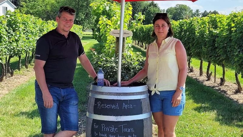 Niagara-on-the-Lake: Sunset Wine Tour with Dinner - What the guide adds between the tasting rooms
