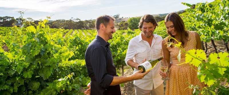 Niagara-on-the-Lake: Wine Tour with Tastings and Lunch - Is $148 a fair price?