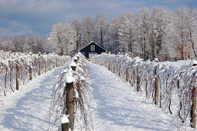 Niagara Wine Tour and Tastings with Transportation - Wayne Gretzky Estates and Trius without a tasting