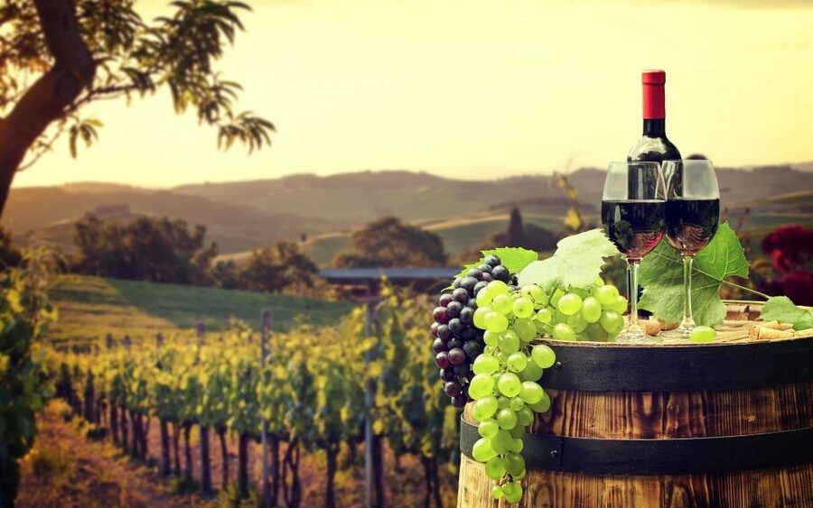 Nice: Provence Village Tour with Wine and Produce Tasting - Why this Provence day trip works from Nice