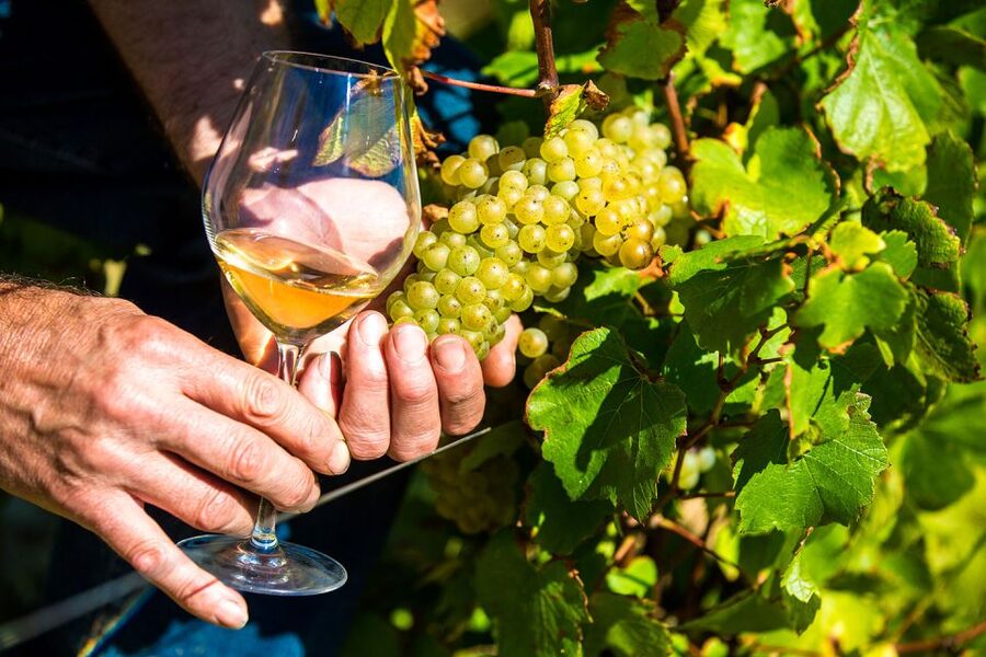 Nice: Provence Village Tour with Wine and Produce Tasting - Starting in Biot, where glass becomes a souvenir