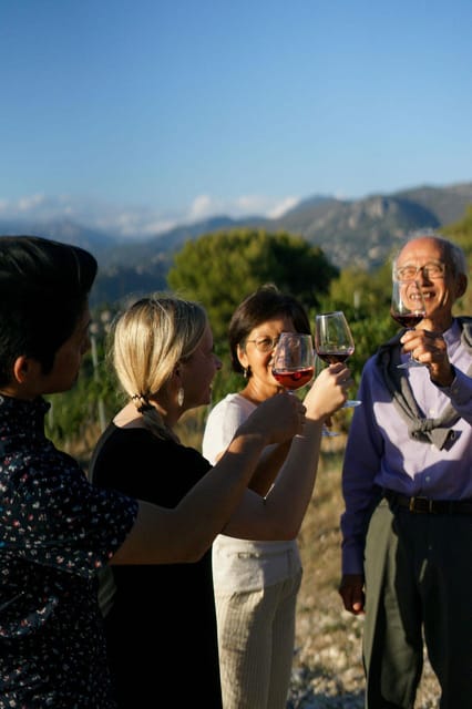 Nice: Vineyard Tour with Wine Tasting - Key points at a glance