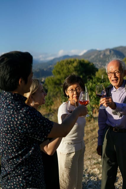 Nice: Vineyard Tour with Wine Tasting - The vineyard walk and the forces behind the wine