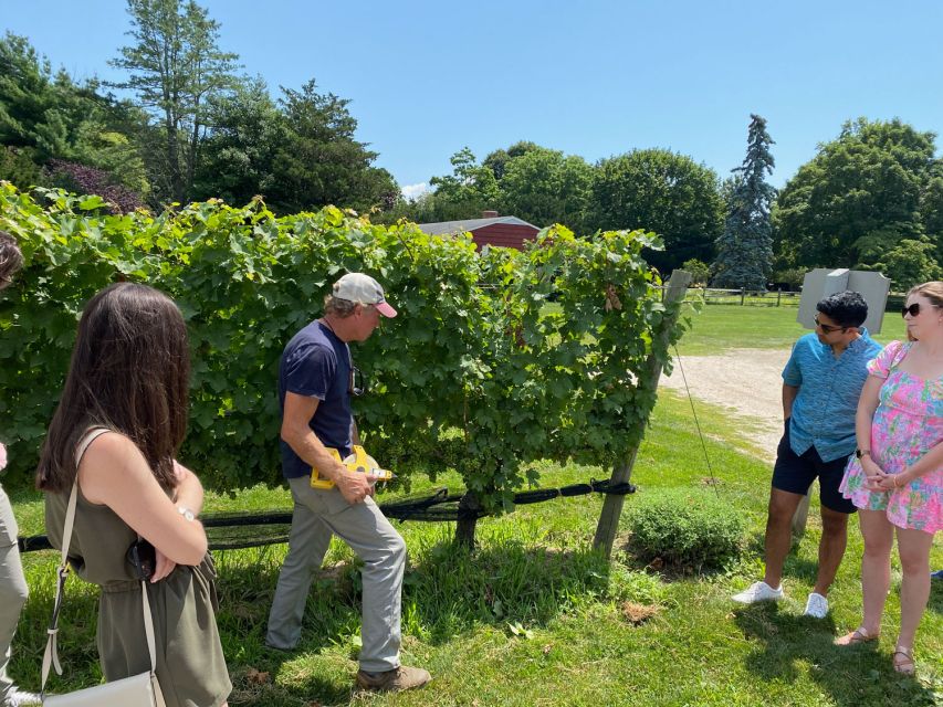 NYC: Long Island Sommelier-Guided Wine Tasting Tour - Why this North Fork day trip works