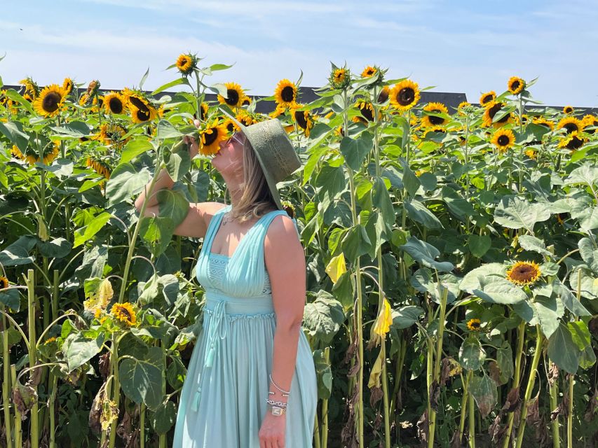 NYC: Long Island Sommelier-Guided Wine Tasting Tour - The farm market adds a local-food break