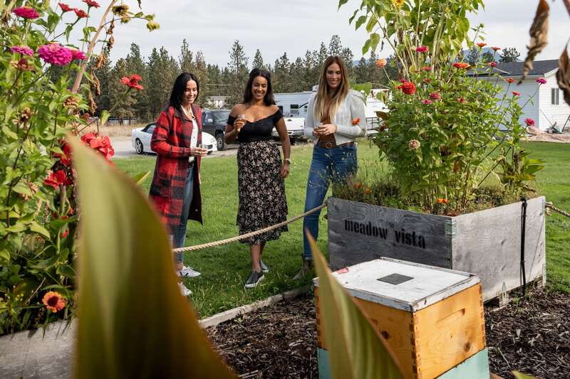 Okanagan Bee Tour, Wine Tasting and Lunch at Kelowna Winery - Honey Wine: A Different Kind of Okanagan Tasting