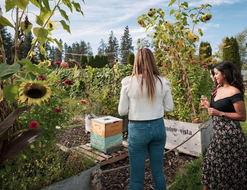 Okanagan Bee Tour, Wine Tasting and Lunch at Kelowna Winery - Is $50 Good Value?