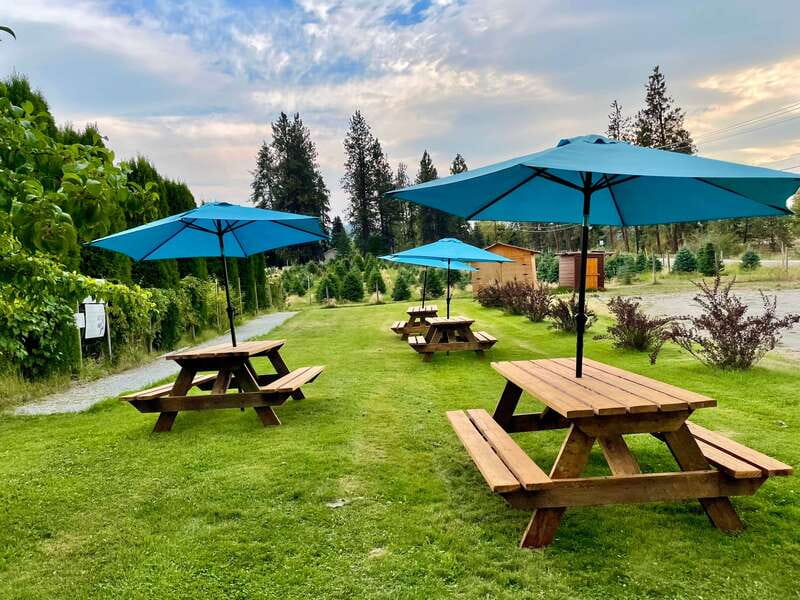 Okanagan Bee Tour, Wine Tasting and Lunch at Kelowna Winery - Who Will Enjoy This Most
