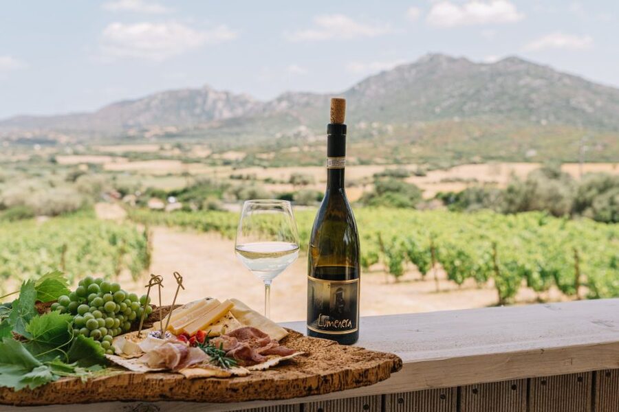 Olbia: Gallura Winery Guided Tour with Tasting - Key points to know before booking