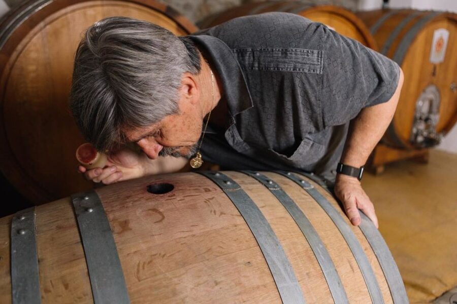 Olbia: Gallura Winery Guided Tour with Tasting - Timing, weather, and practical comfort