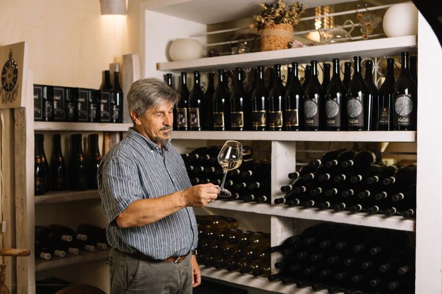 Olbia: Gallura Winery Guided Tour with Tasting - A tasting built around Sardinian snacks